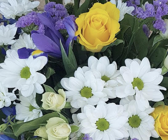 *Birthday Florist Choice Manly Gift Wrapped with Free Birthday Greetings Card