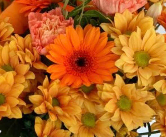 *Birthday Florist Choice Manly Autumn  Gift Wrapped with Free Birthday Greetings Card