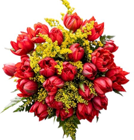 Double Tulips with Solidago Bouquet