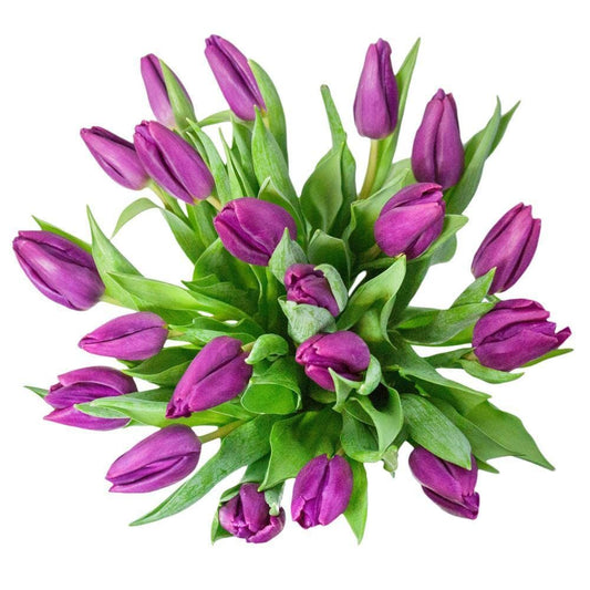 Deep Purple Tulips Bouquet